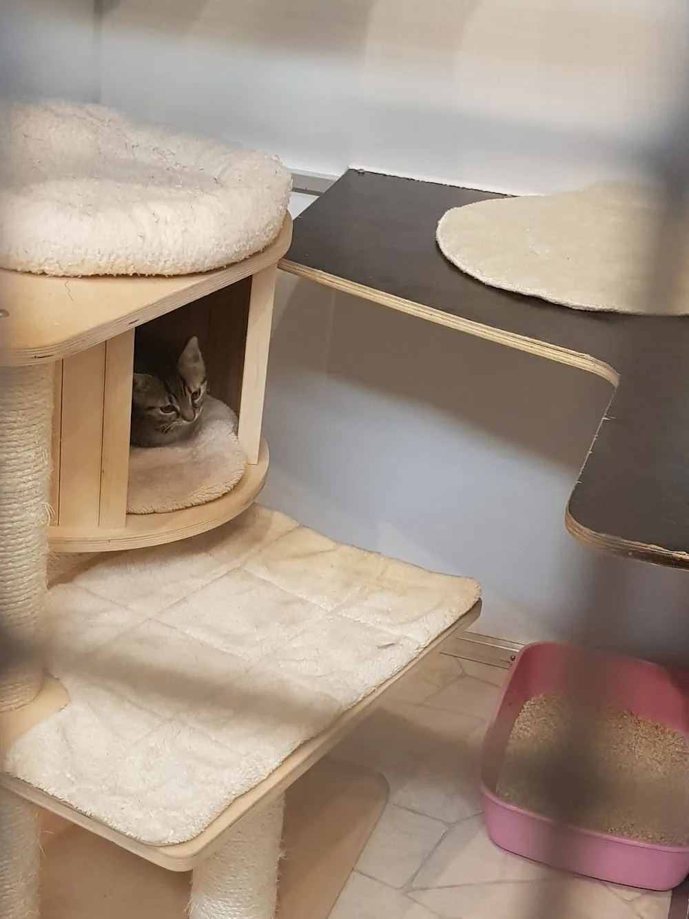 Samtpfötchen-Hotel - Lippstadt pet otel görseli 3