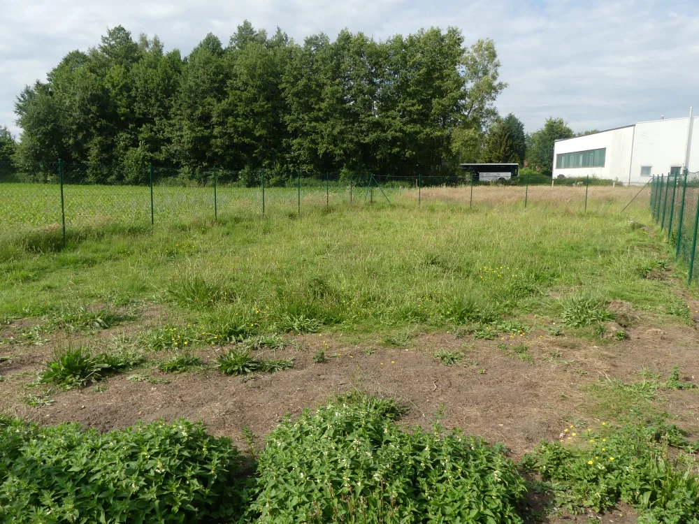 Tierhotel Leinfelder - Lippstadt pet otel görseli 11