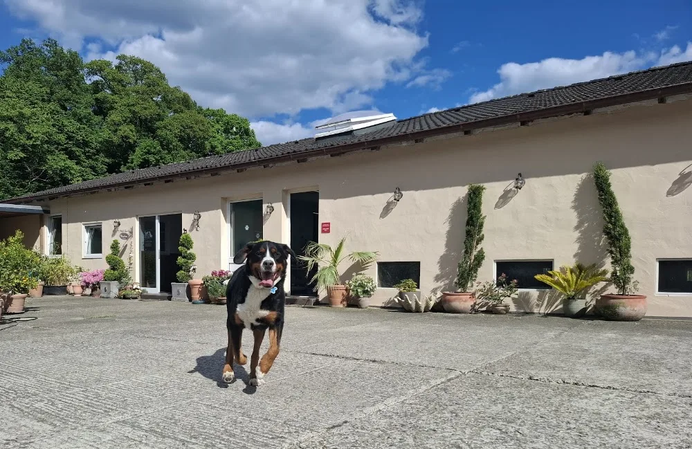 Tierhotel & Salon GRAF - Lippstadt pet otel