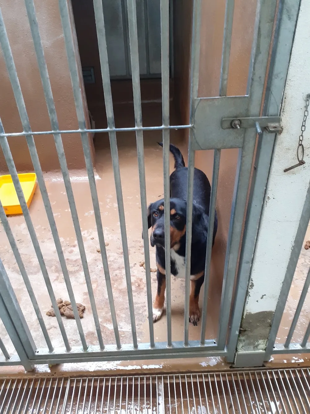 Casa dos Animais de Lisboa - Lisbon pet otel