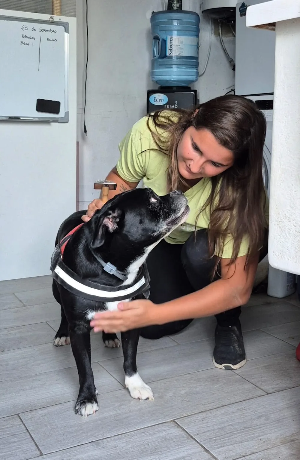 Doginnhotel - Lisbon pet otel görseli 7