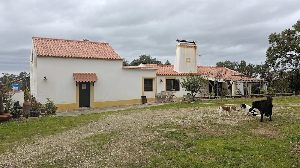 EntreAjuda Petsitting - Lisbon pet otel görseli 3