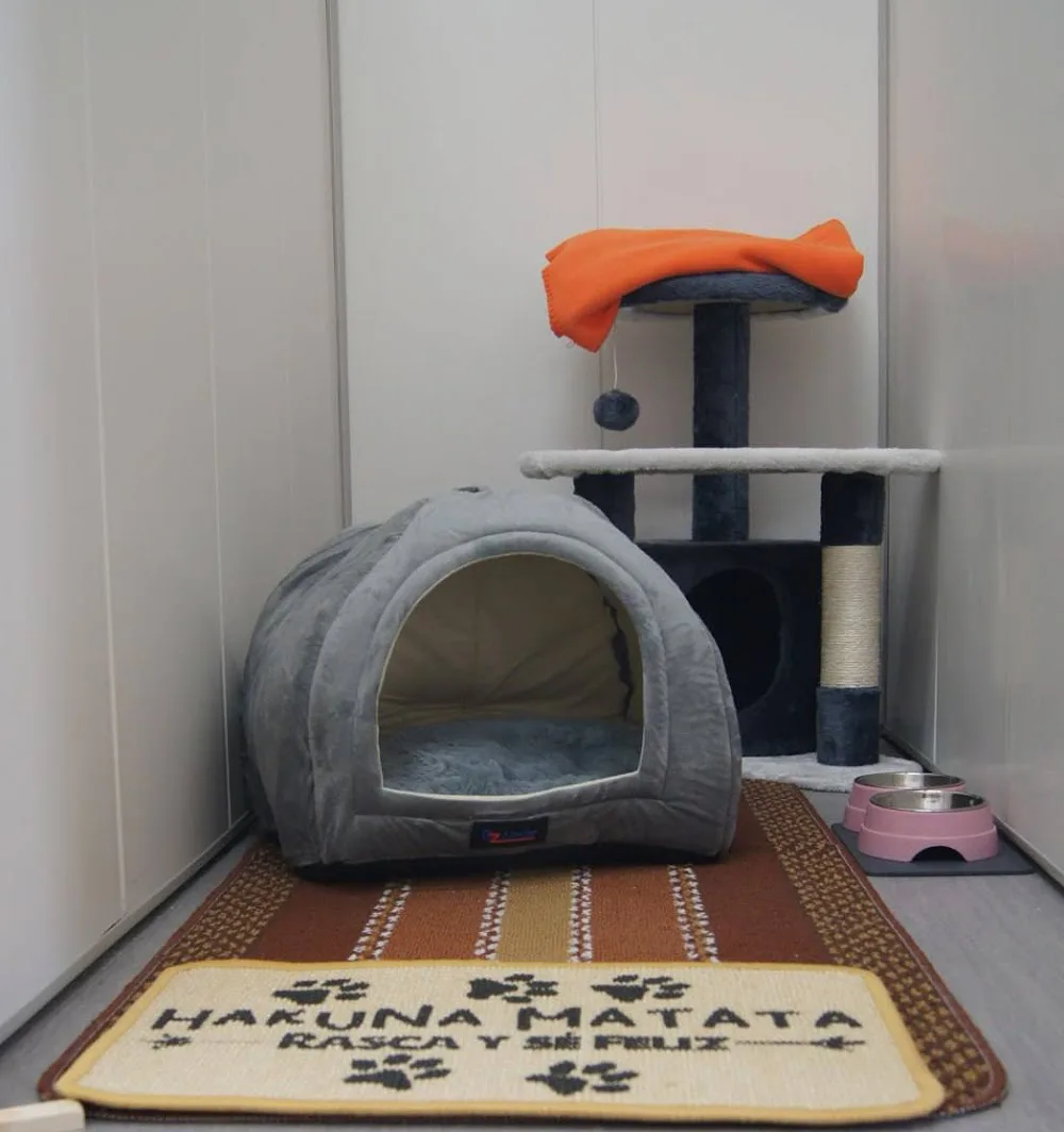 Hotel para gatos "Ola, Amigo!" - Lisbon pet otel görseli 3