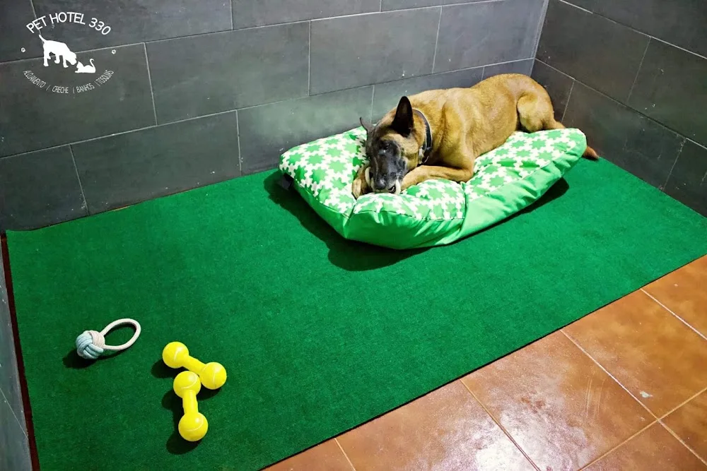 Pet Hotel 330 - Lisbon pet otel görseli 3