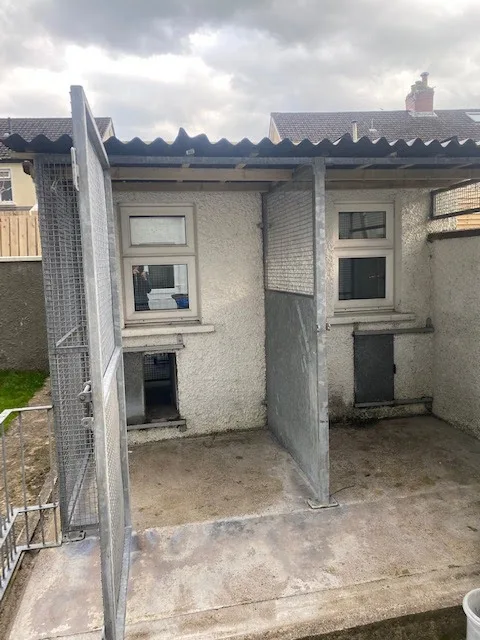 Cregagh Road Pet Care - Lisburn pet otel görseli 3