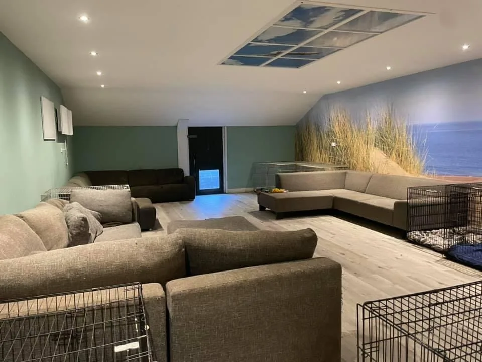 Hondenhotel Vision - Lithoijen pet otel