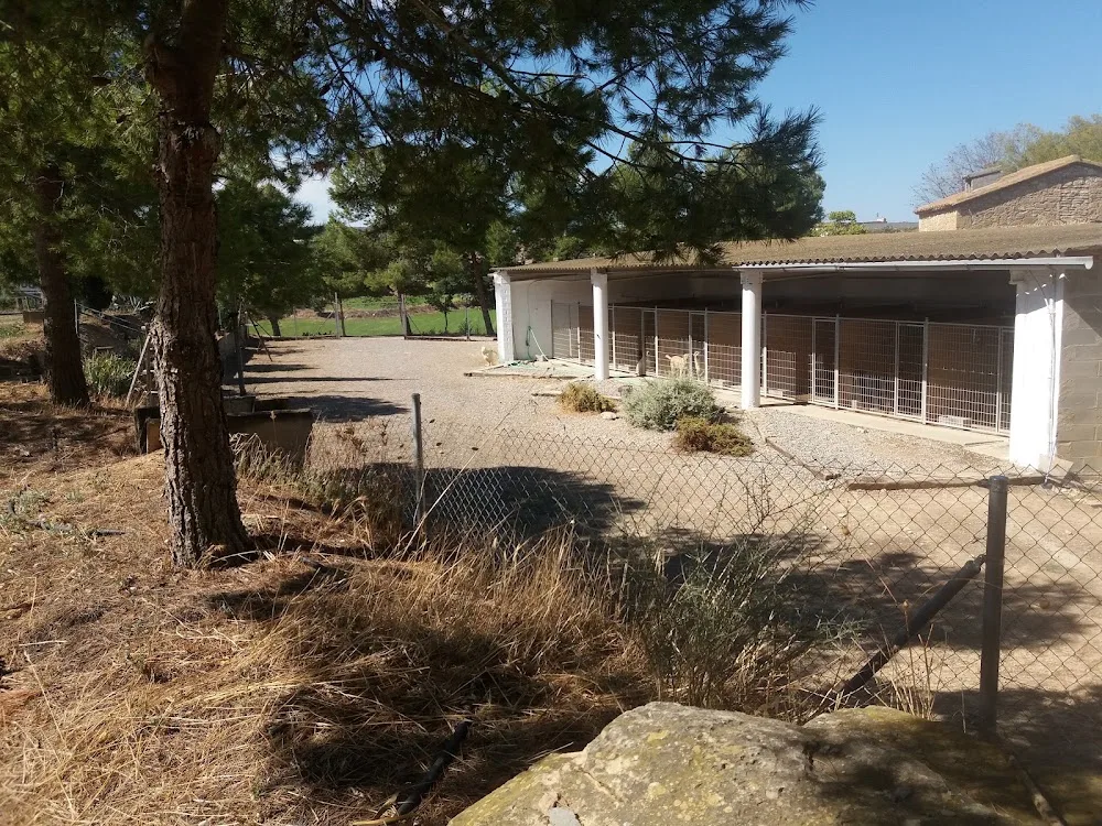 Daviscan Guarderia Canina - Lleida pet otel