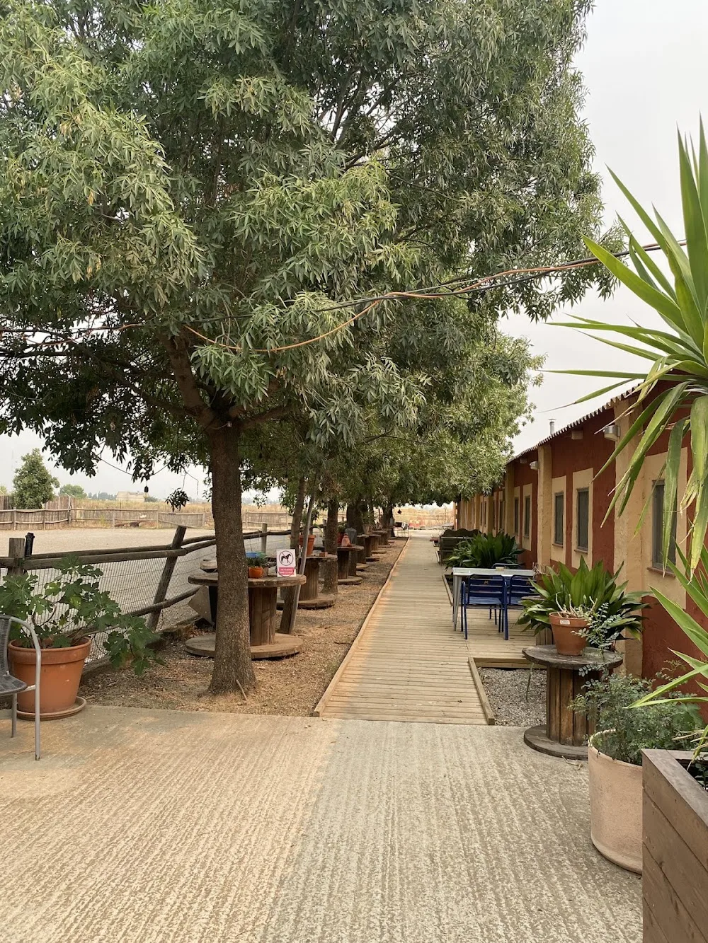 Instint Animal - Residència Canina - Lleida pet otel görseli 3