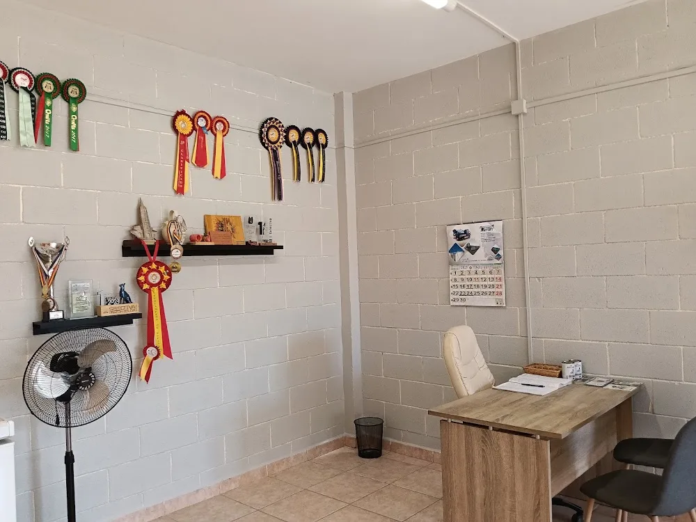 La Daga (Residència Canina) - Lleida pet otel