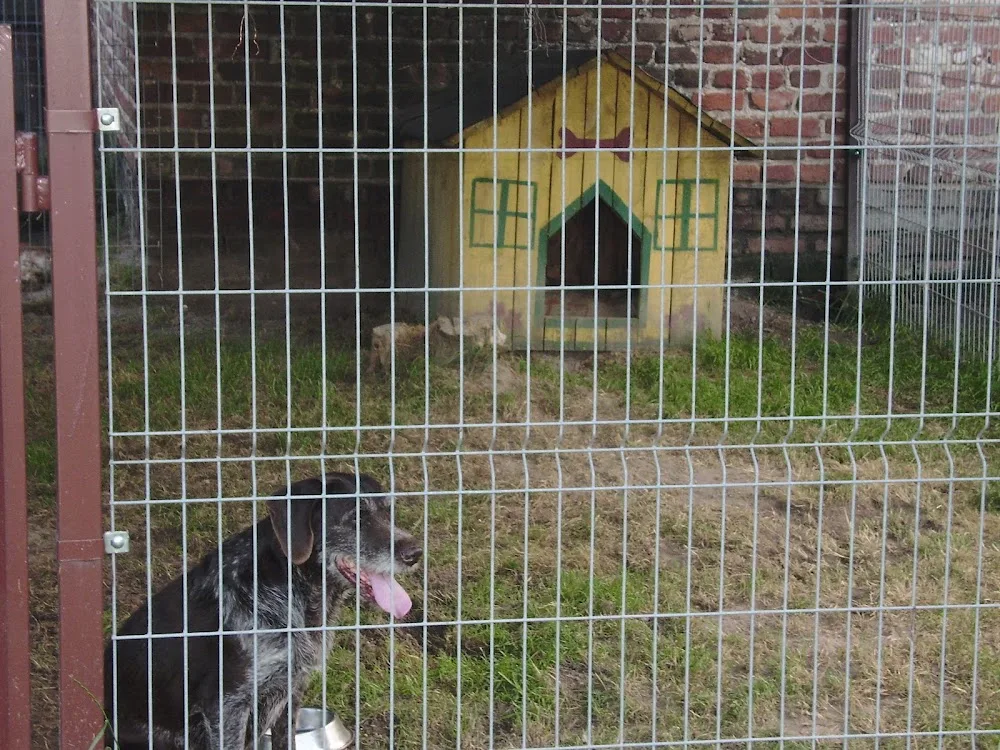 HOTEL DLA ZWIERZĄT CZTERY ŁAPY - Łódź pet otel görseli 3