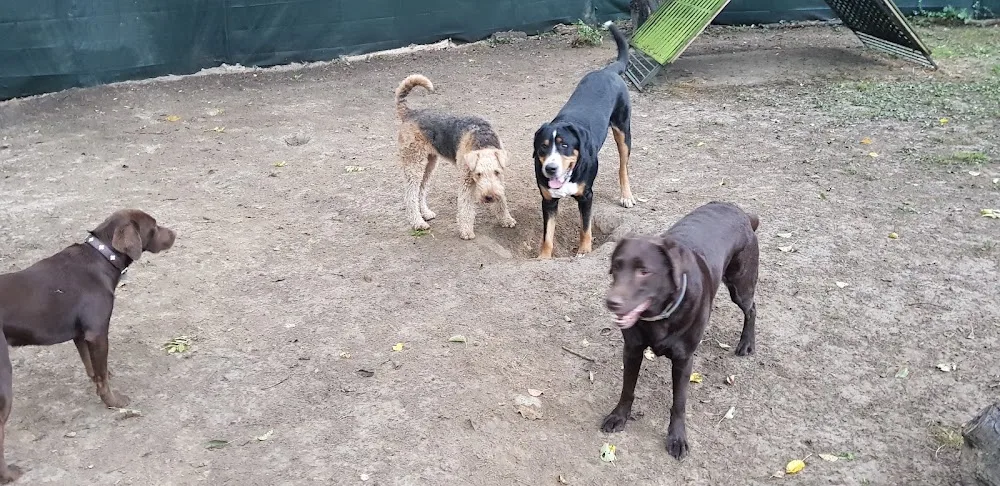 hundepension-hundshausen - Löhne pet otel