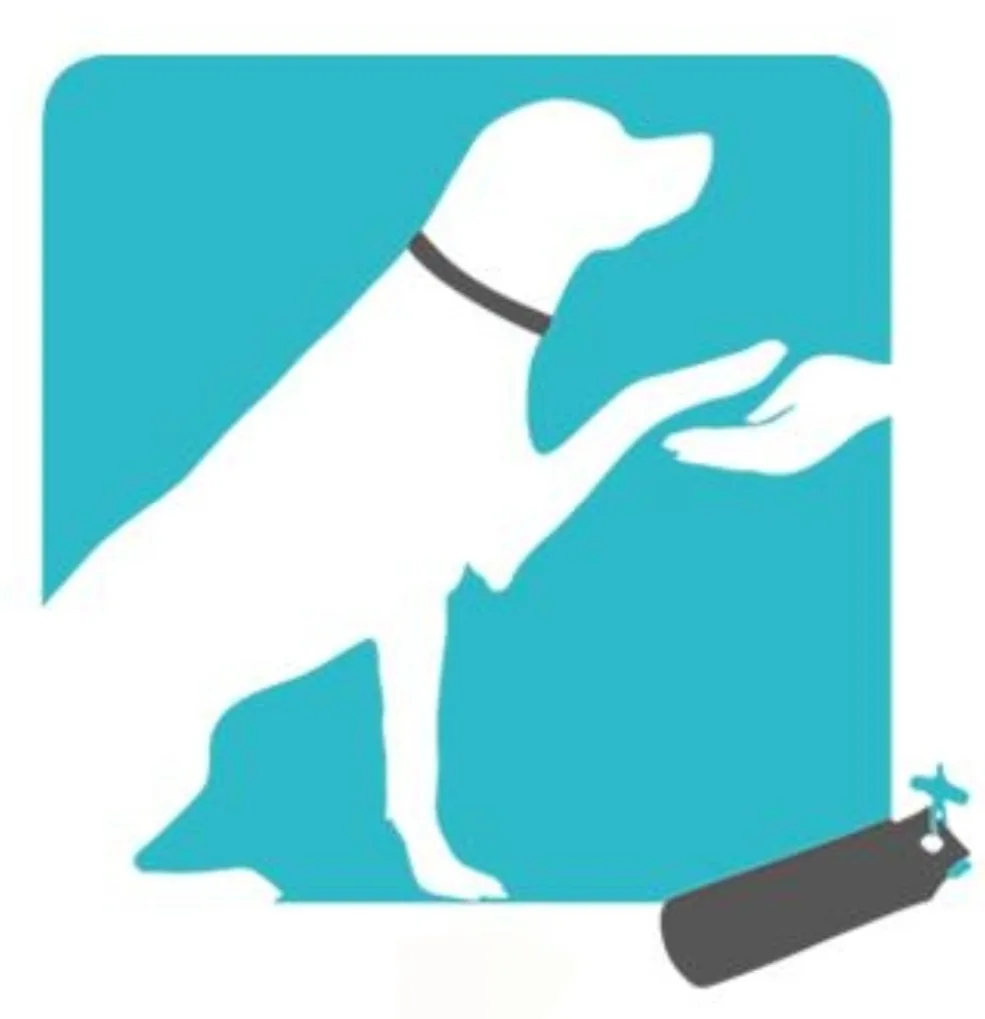 Hundeschule Hopen & Hundehotel Hopen - Löhne pet otel görseli 3