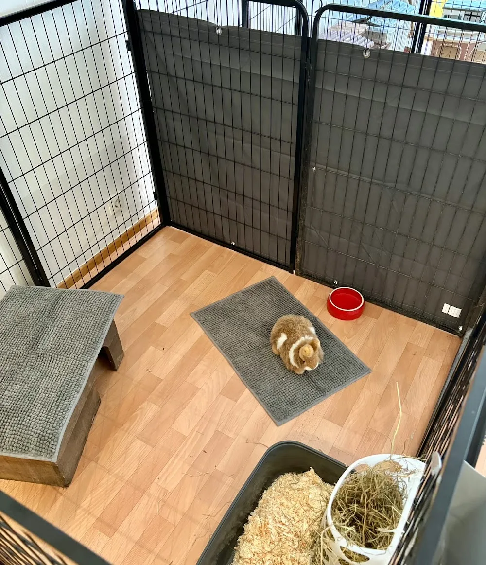 Kleintierhotel Oelde - Löhne pet otel görseli 2
