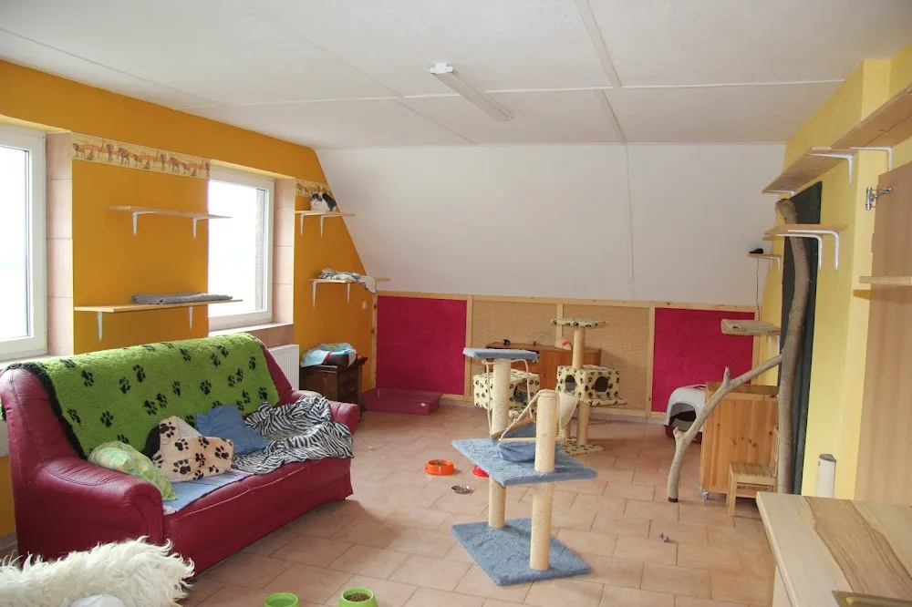 Tierpension Jana Kleine Kracht - Löhne pet otel görseli 2