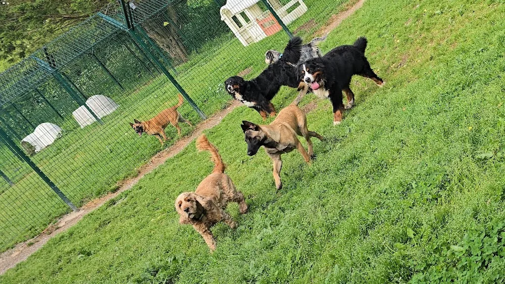 Cani Family - Loire-Atlantique pet otel