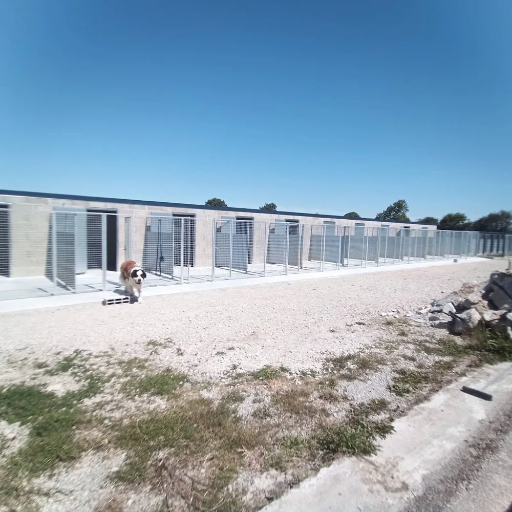 Itakueil Pension canine & féline - Loire-Atlantique pet otel görseli 6