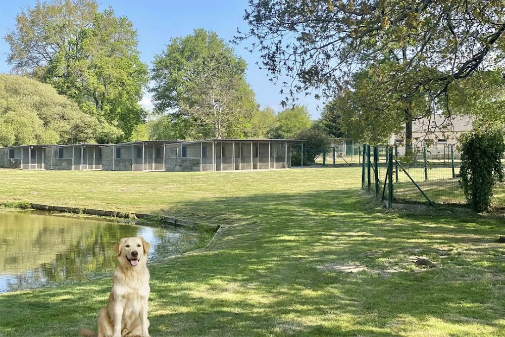 La Douce Vallée - Pension pour chien et chat - Loire-Atlantique pet otel