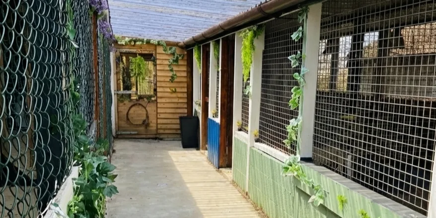 La Pension d'Isa - Loire-Atlantique pet otel