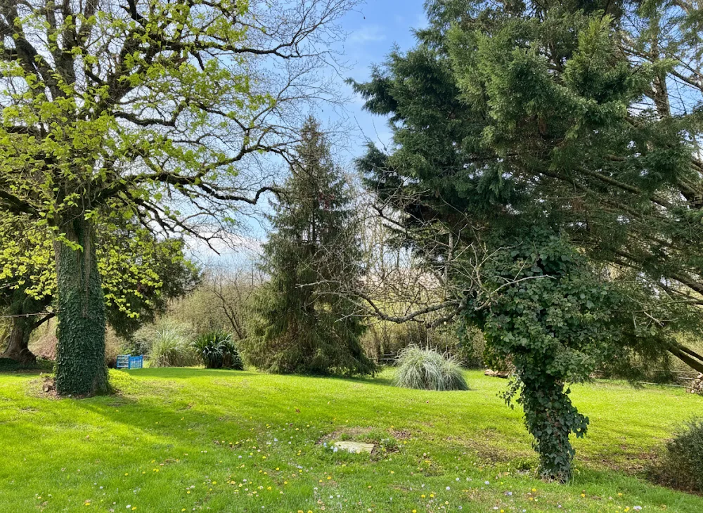La Pension d'Isa - Loire-Atlantique pet otel görseli 3