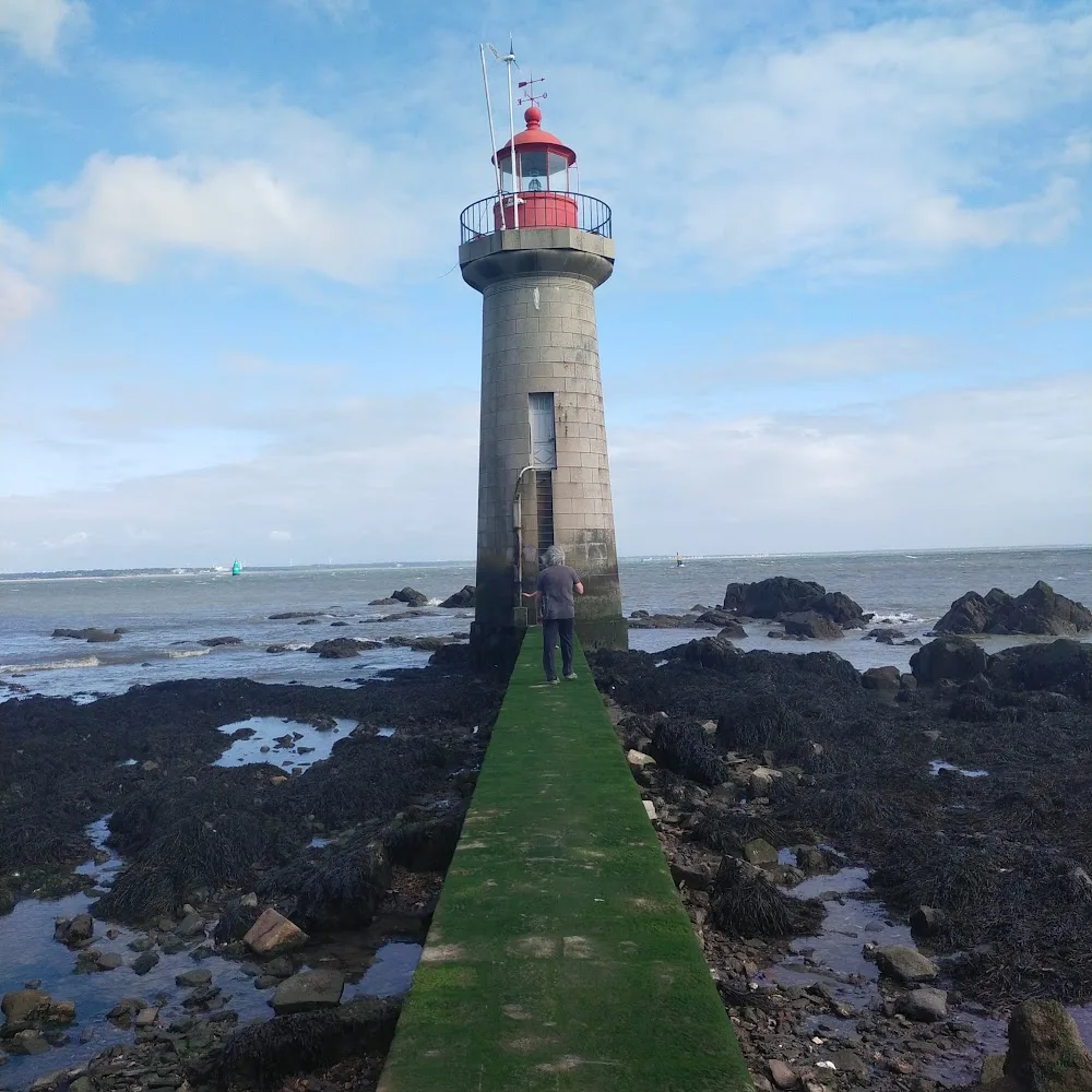Les soins de Jenny Garde d'animaux - massage - comportementaliste félin - Loire-Atlantique pet otel görseli 8