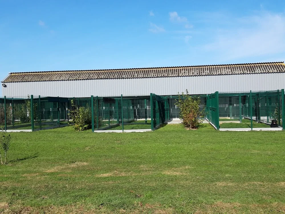 PENSION CANINE DU BORDAGE- SARL GUINAUDEAU MS- ELEVAGE DU CLAN D'ARELLYAN BULLDOG CONTINENTAL - Loire-Atlantique pet otel