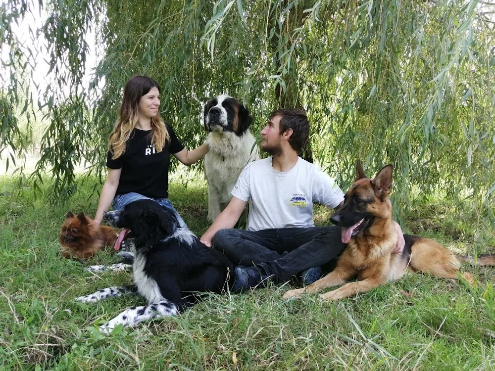 Pension canine en famille (44) - Loire-Atlantique pet otel görseli 6