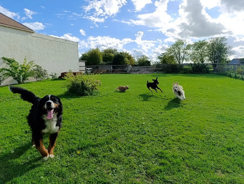 Canins des Champs - Loiret pet otel