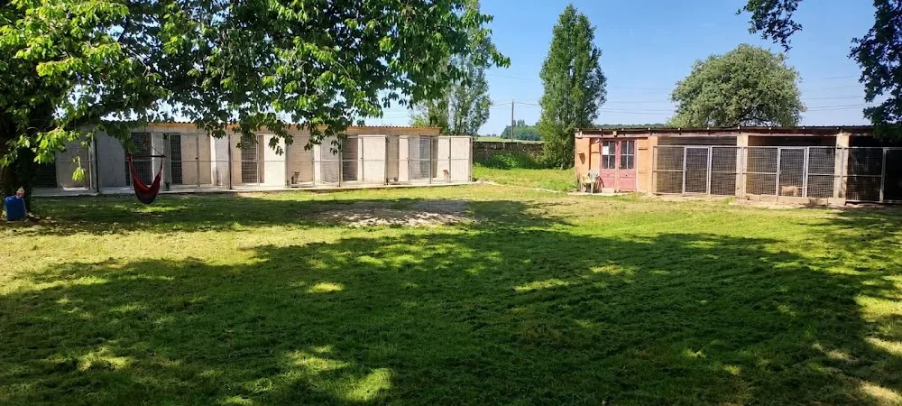 Dogs "R" Zen - Loiret pet otel