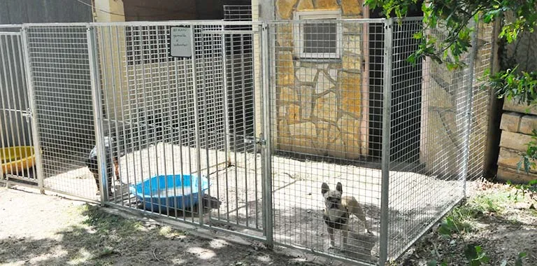 Dogs "R" Zen - Loiret pet otel görseli 3