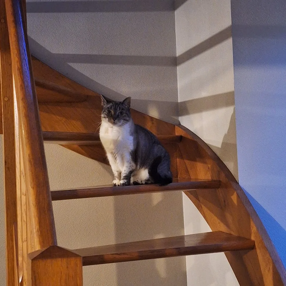 PREVANIMO Petsitter et Pension Familiale dans le 45 & 28 - Loiret pet otel görseli 3