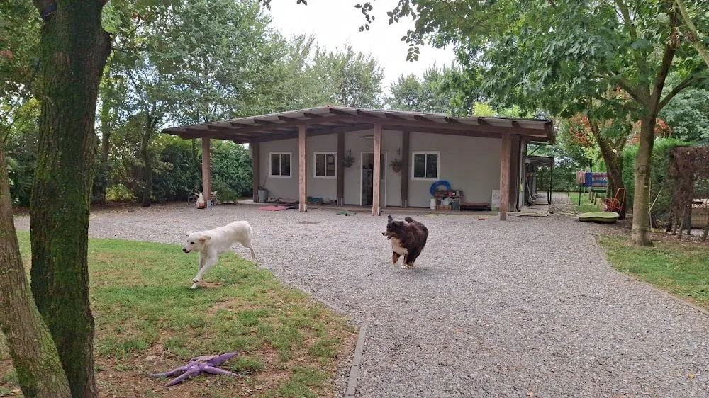 Dog Trainer Park - Lombardy pet otel