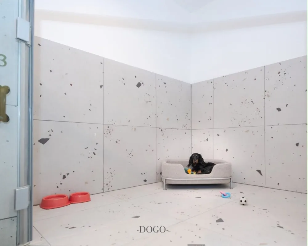 DOGO pet club & hotel - Lombardy pet otel