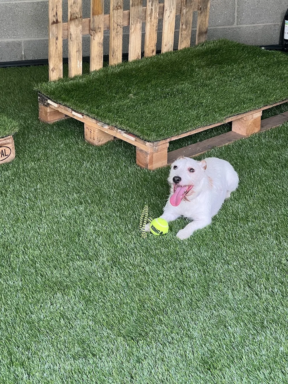 Harmonia - Lombardy pet otel