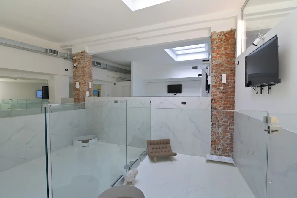 Pensione per cani Milano - Spazio SuperDog - Lombardy pet otel görseli 6
