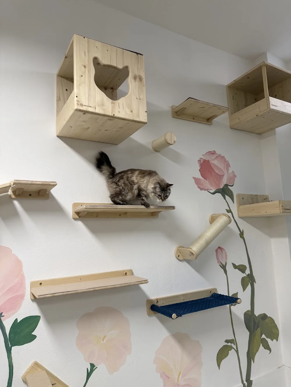 Wonderland Paws & Pages - Lombardy pet otel görseli 2