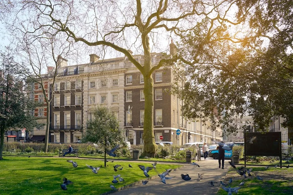 Guildhouse School - London pet otel görseli 3