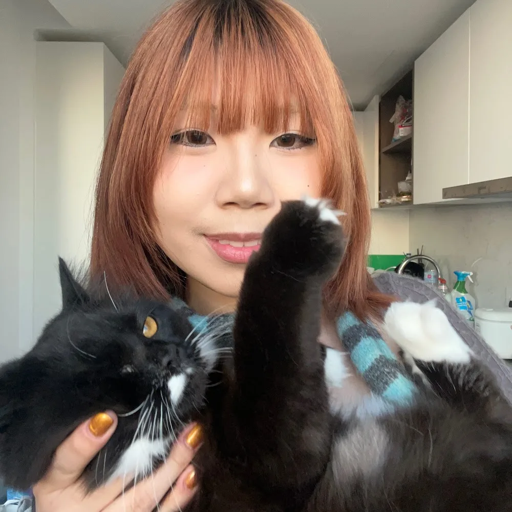 Kitty&Cuddle Cattery - London pet otel görseli 5