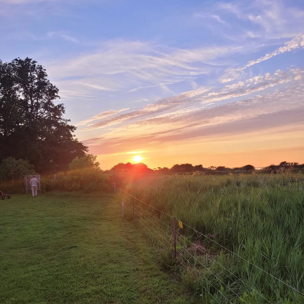 Hundepension Mühlenhorst - Löningen pet otel görseli 9