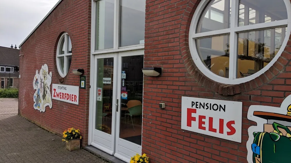 Kattenpension Felis - Löningen pet otel