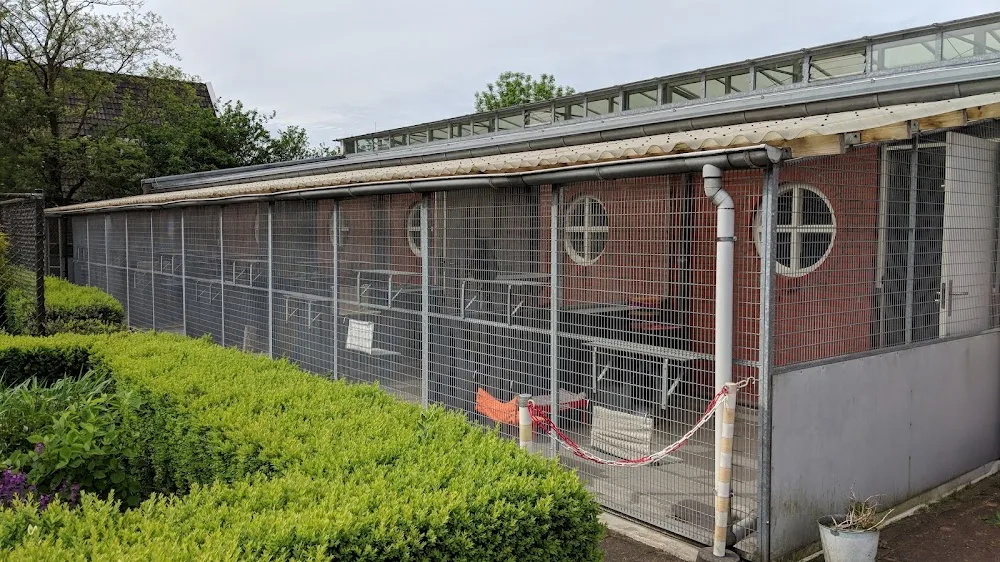 Kattenpension Felis - Löningen pet otel görseli 3