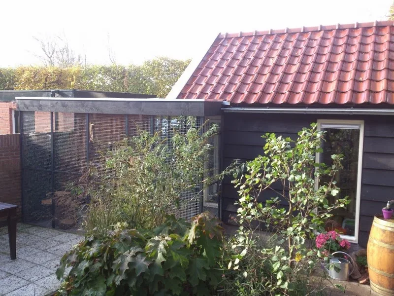 Kattenpension WEL VOOR DE POES - Löningen pet otel