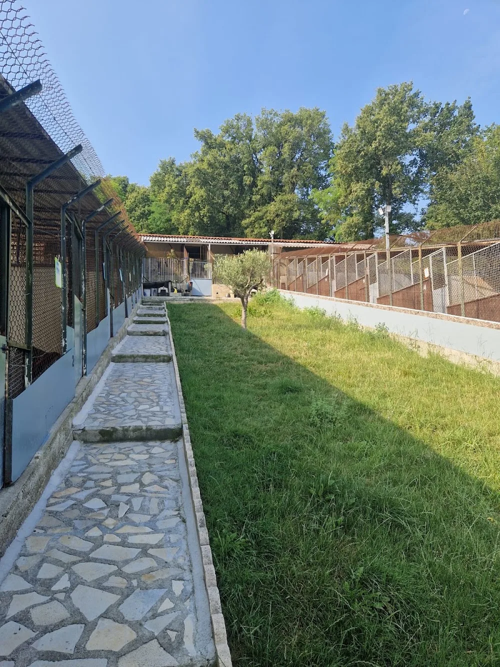 Chenil des Lauriers - Lot pet otel görseli 3