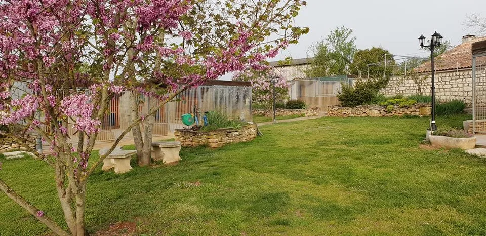 des Pat o' Cou - Centre de vacances pour chiens - Lot pet otel