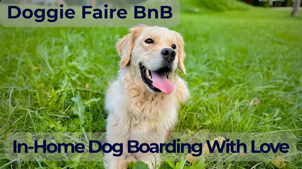 Doggie Faire - In Home Dog Boarding - Lot pet otel