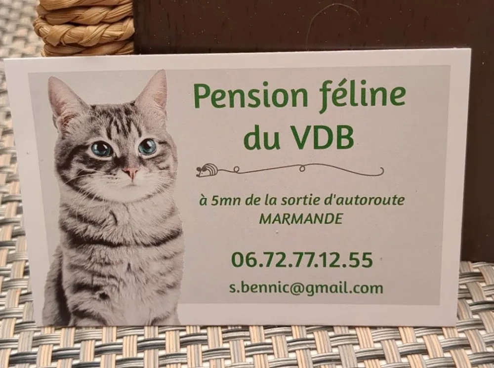 Pension chats du VDB - Lot-et-Garonne pet otel görseli 3
