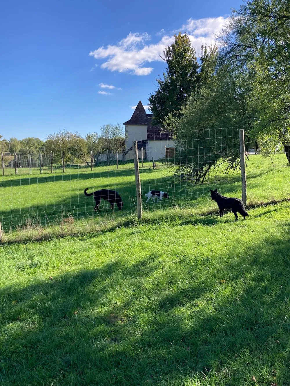 La Ferme du Buy - Lot pet otel görseli 3