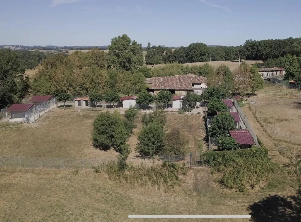 Le Royaume des Licornes élevage canin et pension - Lot pet otel