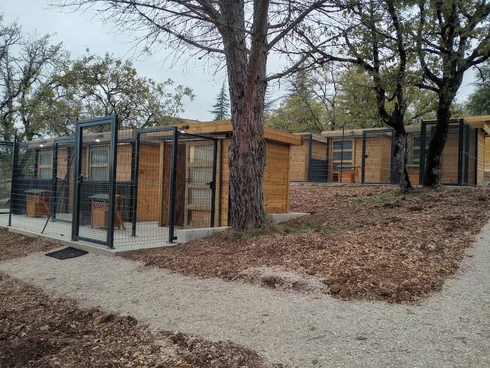 Les chalets félins 46 - Lot pet otel görseli 3