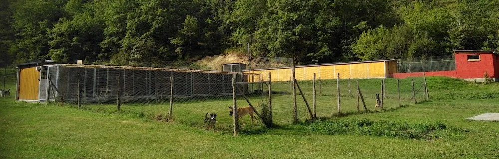 Pension canine et féline Ladi Lafé - Lot pet otel görseli 3