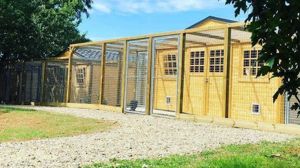 Pension Féline des Chats-Telains - Lot pet otel görseli 2